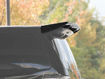 Picture of 08-15 Alphard Vellfire 20 series AH20 SS Style rear spoiler