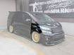 Picture of 08-15 Vellfire 20 series AH20 SS Style front fender