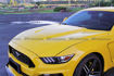 Picture of 2015 Mustang GT350R Style Hood